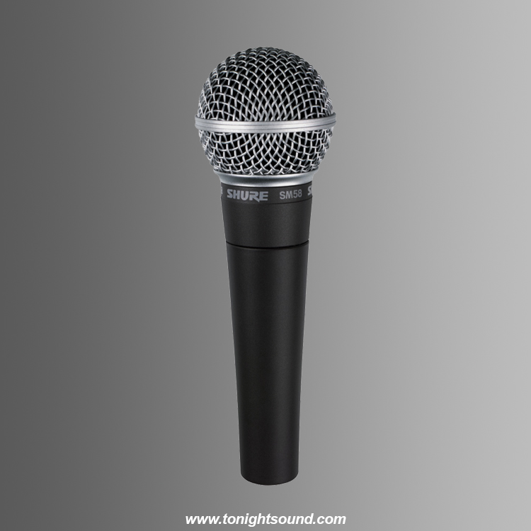 Location micro Shure SM58 chant